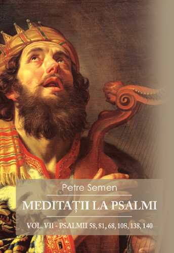Meditatii la psalmi vol VII